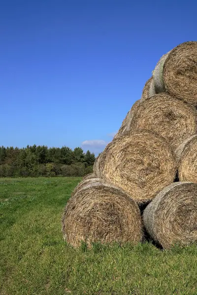Hasattan sonra sahanın sol balyasıdır..