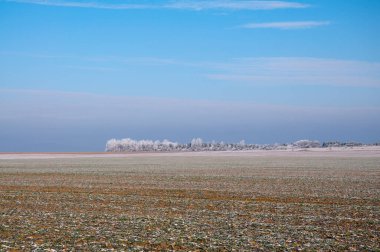 Kış tarlası, arka planda sisli.