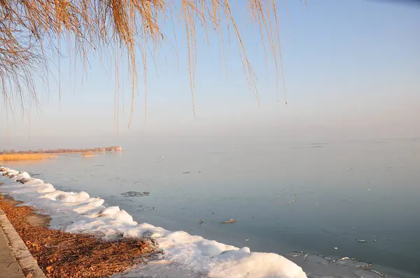 Buzlu olan, kışın göldeki sazlıktır..