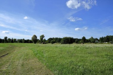 Yeşil arazi ve bir sıra ağaç..
