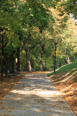 bir park mesire renkler sonbahar geldi.