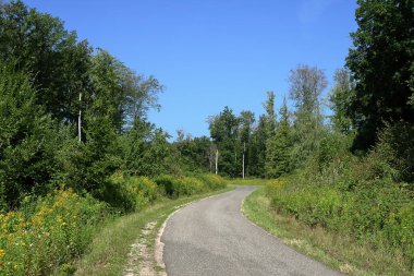 Sylvan yolu, şu ağaca ulaşım için çok kullanışlı..