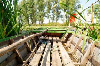 Güneşli bir günde arka planda sazlıklar ve ağaçlarla yıpranmış ahşap bir teknenin içinden manzarayı seyret..