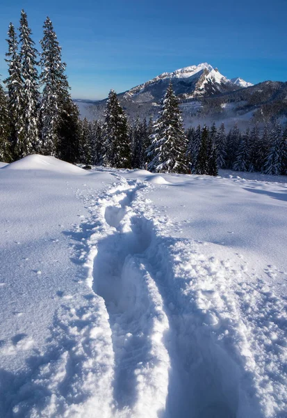 深い雪の中で足跡 タトラ山脈の冬 ポーランドだ 冬の冒険のコンセプト — ストック写真