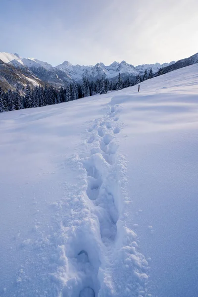 深い雪の中で足跡 タトラ山脈の冬 ポーランドだ 冬の冒険のコンセプト — ストック写真