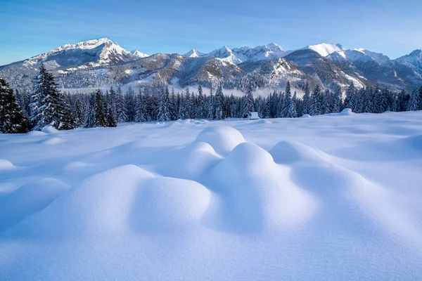 Панорамний Вид Зимові Гори Татра Національний Парк Польщі Гори Снігу Стокове Фото