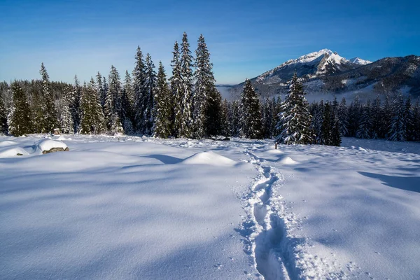 Сліди Глибокому Снігу Зима Горах Татри Польща Зимові Пригоди Стокова Картинка