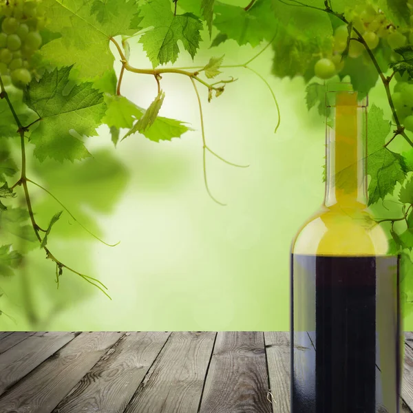 Grijze Houten Achtergrond Met Groene Wijnstok Fles — Stockfoto