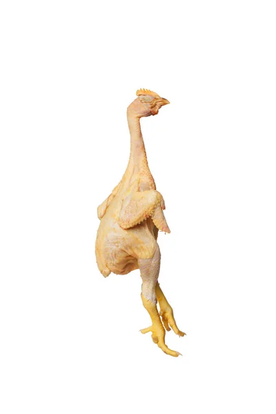 Τηγανητό Κοτόπουλο Ανοιχτά Φτερά Και Κίτρινα Πόδια Απομονωμένα Λευκό Φόντο — Φωτογραφία Αρχείου