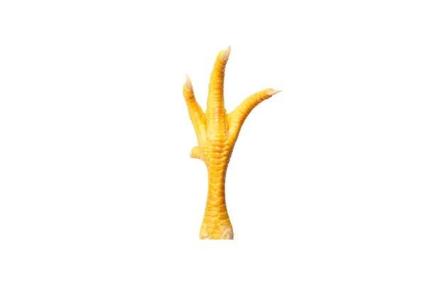 Gelbe Hühnerpfote Mit Fingernägeln Isoliert Auf Weiß — Stockfoto
