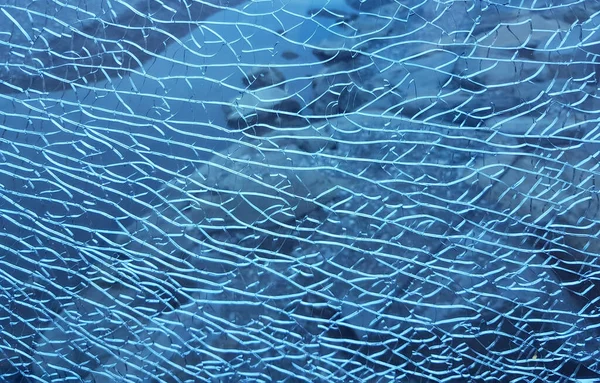 抽象的な多くの亀裂ショットウィンドウを持つ青の壊れたガラス — ストック写真