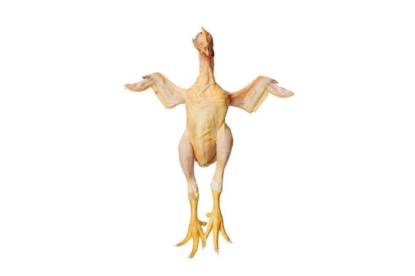 Martwe Oskubane Kurczak Pisklę Otwartymi Skrzydłami Żółte Łapy Izolowane Białym — Zdjęcie stockowe