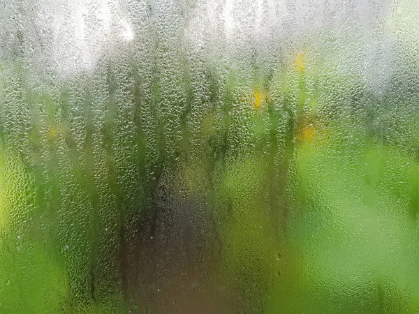 Foggy Window Glass Green Nature Background — Stock Photo, Image