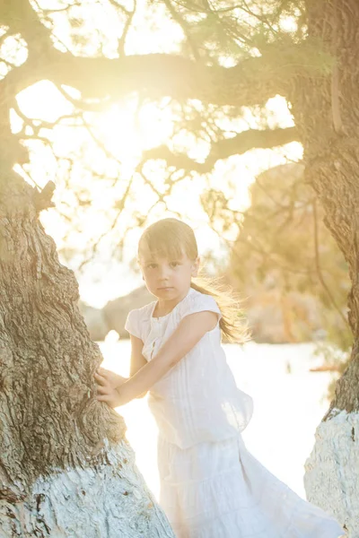 身穿白衣的小女孩站在公园的一棵树旁 — 图库照片