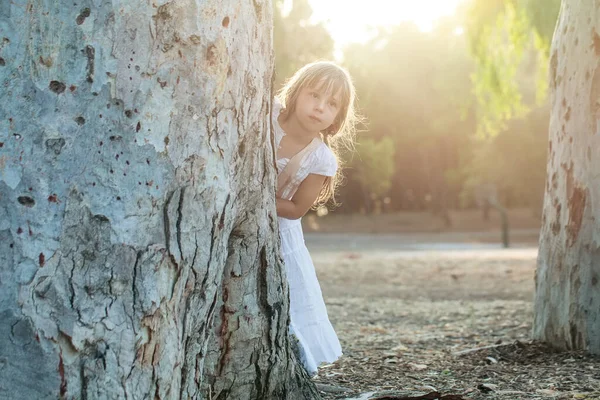 美丽的黑发小女孩 身穿白衣 站在阳光灿烂的公园的树旁 — 图库照片