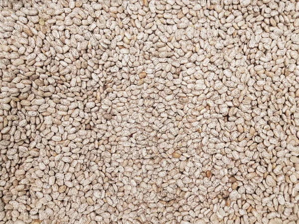 Pinto Kidney Bean Texture Background — Stock Photo, Image