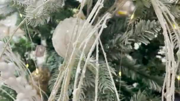 Mooie Groene Takken Van Winter Dennenboom Witte Ijzige Sneeuw Naalden — Stockvideo