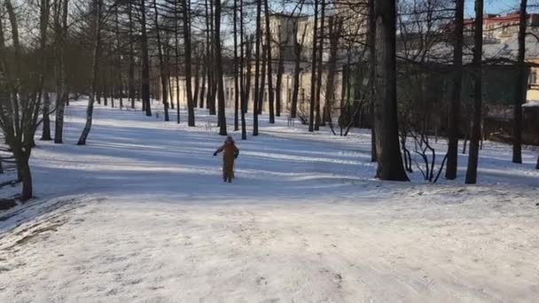 Çocuk Kızağı Kar Dağının Tepesine Çıkardı — Stok video