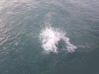 Denizde su kirliliği. Küresel sıcaklık