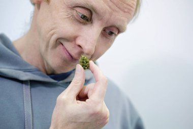 Gülümseyen mutlu bir adam Tıbbi esrar marihuana tomurcuğu kokluyor