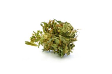 Tıbbi kenevir marihuana tomurcuğu makrosu