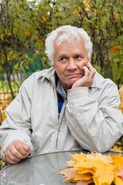 Gri saçlı, beyaz saçlı yaşlı bir adam. Büyükbaba, yaşlı, yaşlı bir adam yüzünde kırışıklıklar var sonbahar parkında ya da bahçede tek başına oturuyor.