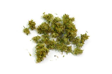 Marihuana tomurcukları yakın plan. Tıbbi CBD kenevir, kurumuş çiçeklenme beyaz arka planda yatıyordu. Ot rekreasyonu, üst görünüm, düz yatak.