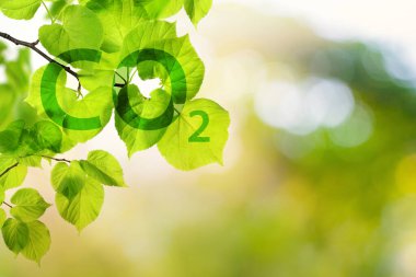 Karbondioksit salınımı, küresel ısınma, sürdürülebilir kalkınma kavramı. CO2 ile yeşil yapraklar