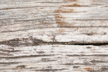 Eski ahşap yapı, ahşap zemin