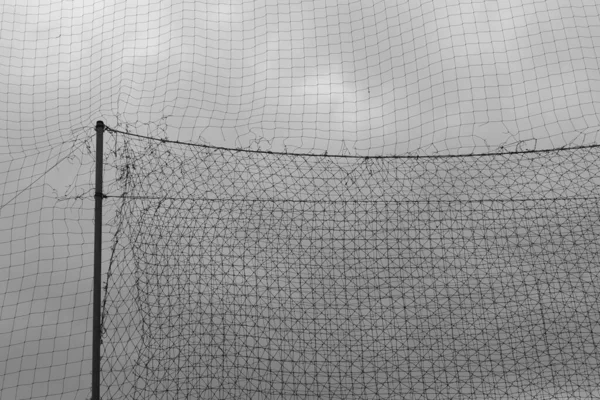 Fußballfeld Sicherheitsnetz Quadratischen Maschennetz Abstrakten Hintergrund Schwarz Weiß — Stockfoto