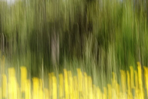 Bos Gele Bloemen Abstracte Bewegingswaas Opzettelijke Camerabeweging Impressionistisch Voorjaarslandschap — Stockfoto