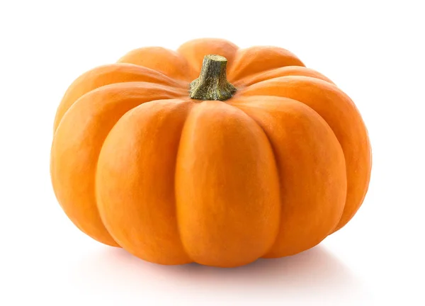 One Fresh Orange Pumpkin Isolated White Background Halloween Decoration — Stock Photo, Image