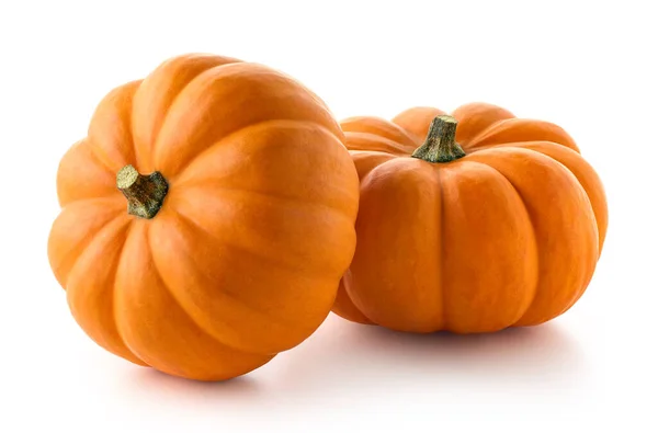 Two Fresh Orange Pumpkins Isolated White Background — Stock Photo, Image