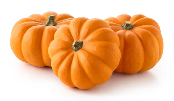 Group Three Orange Pumpkins Isolated White Background — Stock Photo, Image