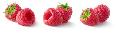 Collection or set of various fresh ripe raspberries isolated on white background. Different angles, side view