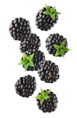 Various falling fresh ripe blackberries isolated on white background, horizontal composition