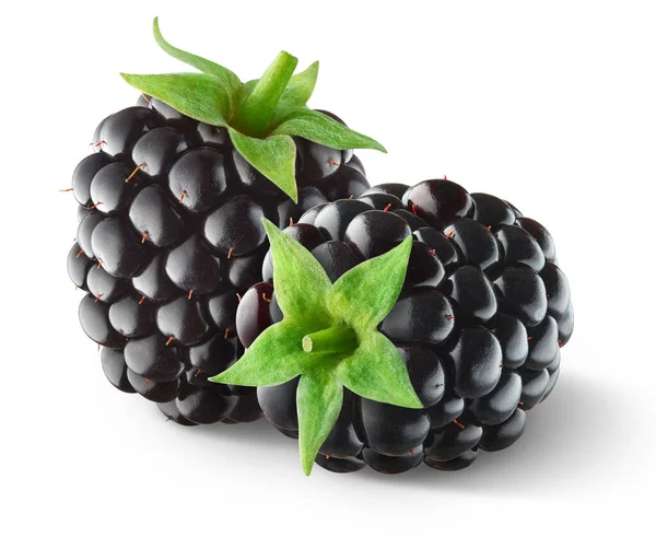 Close Beautiful Fresh Ripe Blackberries Green Leaves Isolated White Background — Stock Photo, Image