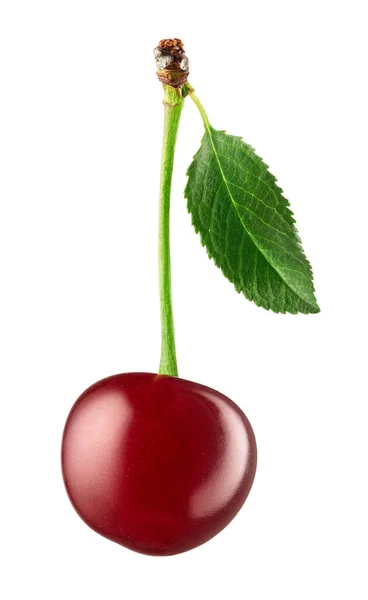 Cherry Merah Segar Matang Dengan Daun Hijau Terisolasi Pada Latar — Stok Foto