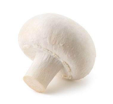 Beyaz arka planda izole edilmiş taze beyaz şampiyon mantarı.