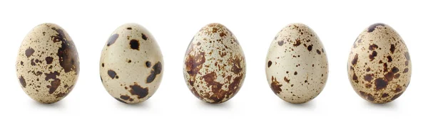Set Five Fresh Quail Perpaline Eggs Isolated White Background — Stock Photo, Image