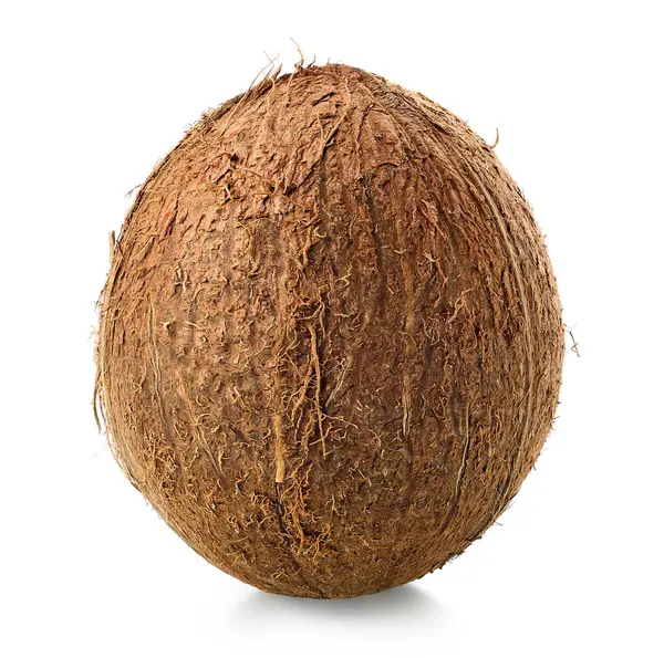 One Fresh Whole Coconut Isolated White Background — Stock Photo, Image