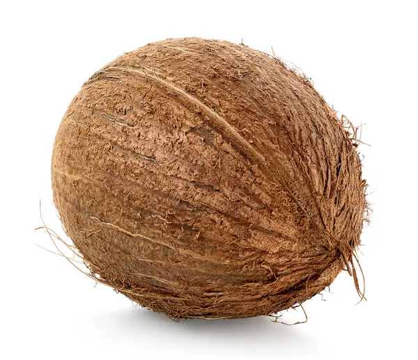 One Fresh Whole Coconut Isolated White Background — Stock Photo, Image