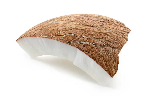Jeden Kus Čerstvého Zralého Kokosu Izolované Bílém Pozadí — Stock fotografie