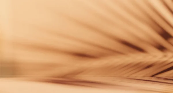 Минимальный Фон Размещения Продукта Пальмовой Тенью Бетонной Стене Эстетика Интерьера — стоковое фото