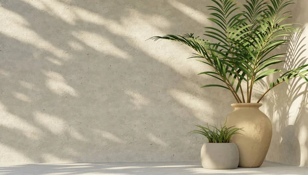 Minimal Product Placement Background Tropical Palm Clay Pot Shadow Concrete — Stok fotoğraf