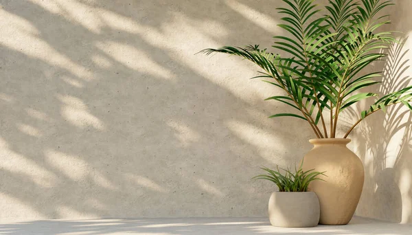 Minimal Product Placement Background Tropical Palm Clay Pot Shadow Concrete Zdjęcie Stockowe