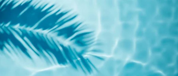 Aquawellen Und Kokospalmenschatten Auf Blauem Hintergrund Wasserpool Textur Top Ansicht — Stockfoto