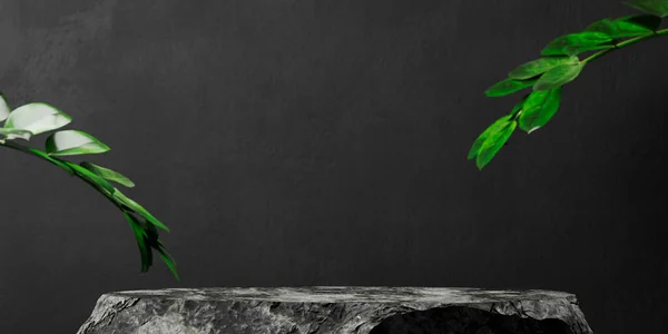 花崗岩の表彰台や熱帯の葉と黒の背景 製品台座の表示モックアップ 天然美意識の高級インテリアルーム — ストック写真