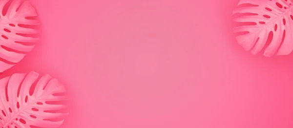 Летний Розовый Фон Пальмовым Листом Сверху Вид Сверху Paubmonstera Розовом — стоковое фото
