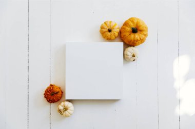 Beyaz ahşap fl üzerinde sonbahar balkabağı dekoru olan boş resim çerçevesi